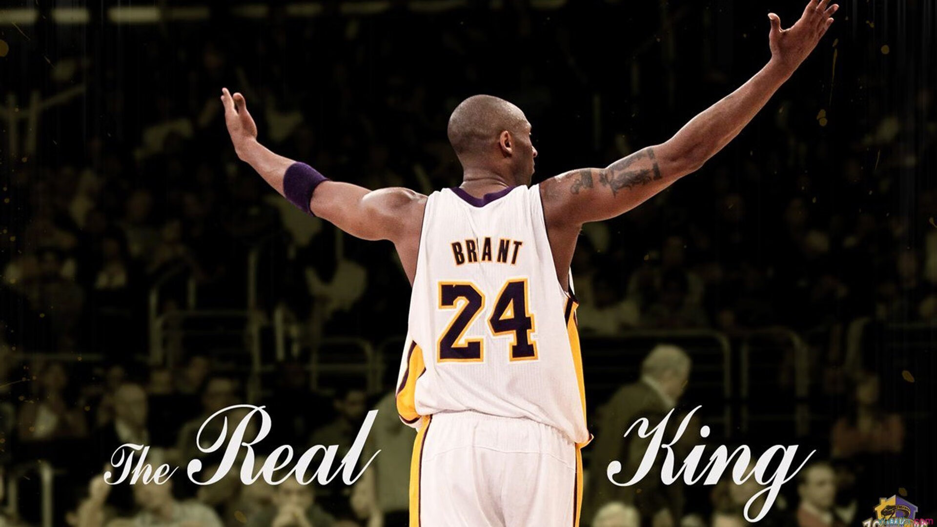 WRC:沿途风景与激烈竞争的完美结合